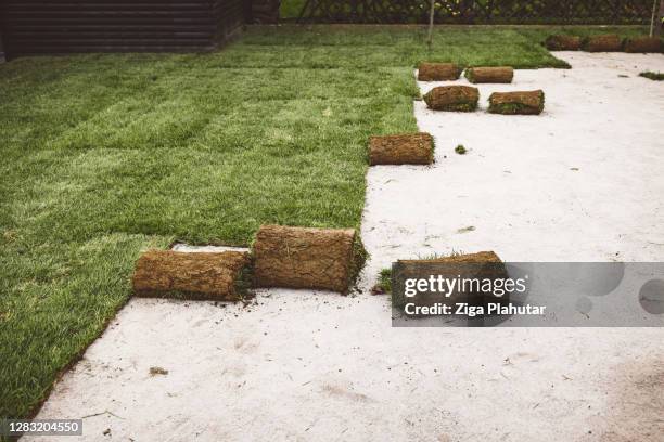 new lawn coming together - sod rolls - sod field stock pictures, royalty-free photos & images