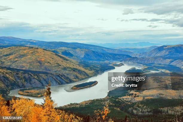 río yukón, yukón, canadá - yukon fotografías e imágenes de stock