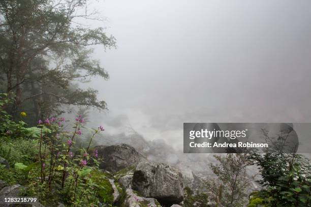 flowing river cascading through mountain mist with impatiens in the foreground in the valley of flowers in the himalayas - himalayan birch stock pictures, royalty-free photos & images