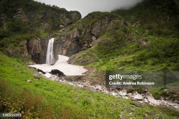 waterfall and stream flowing through a glacier in the valley of flowers in the himalayas - valley of flowers uttarakhand stock-fotos und bilder