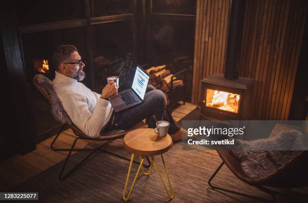 video call in cozy atmosphere - fireplace forest stock pictures, royalty-free photos & images
