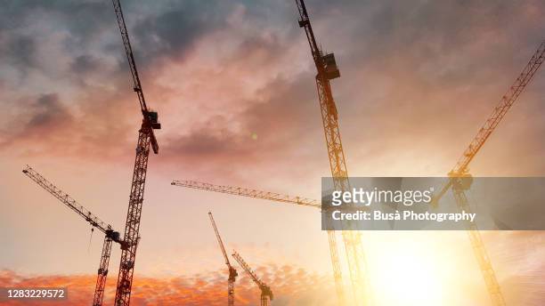 construction cranes against the sky at sunset - kran stock-fotos und bilder