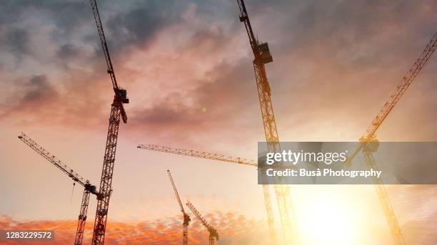 construction cranes against the sky at sunset - grue photos et images de collection