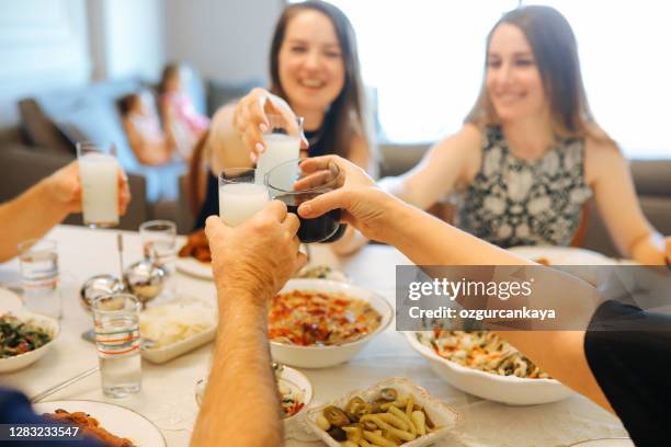 close up of friends having fun and toasting and celebrating with turkish rakı - ouzo stock pictures, royalty-free photos & images