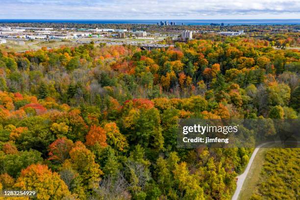 aerial bronte creek provinciaal park in de herfst, oakville, canada - oakville ontario stockfoto's en -beelden