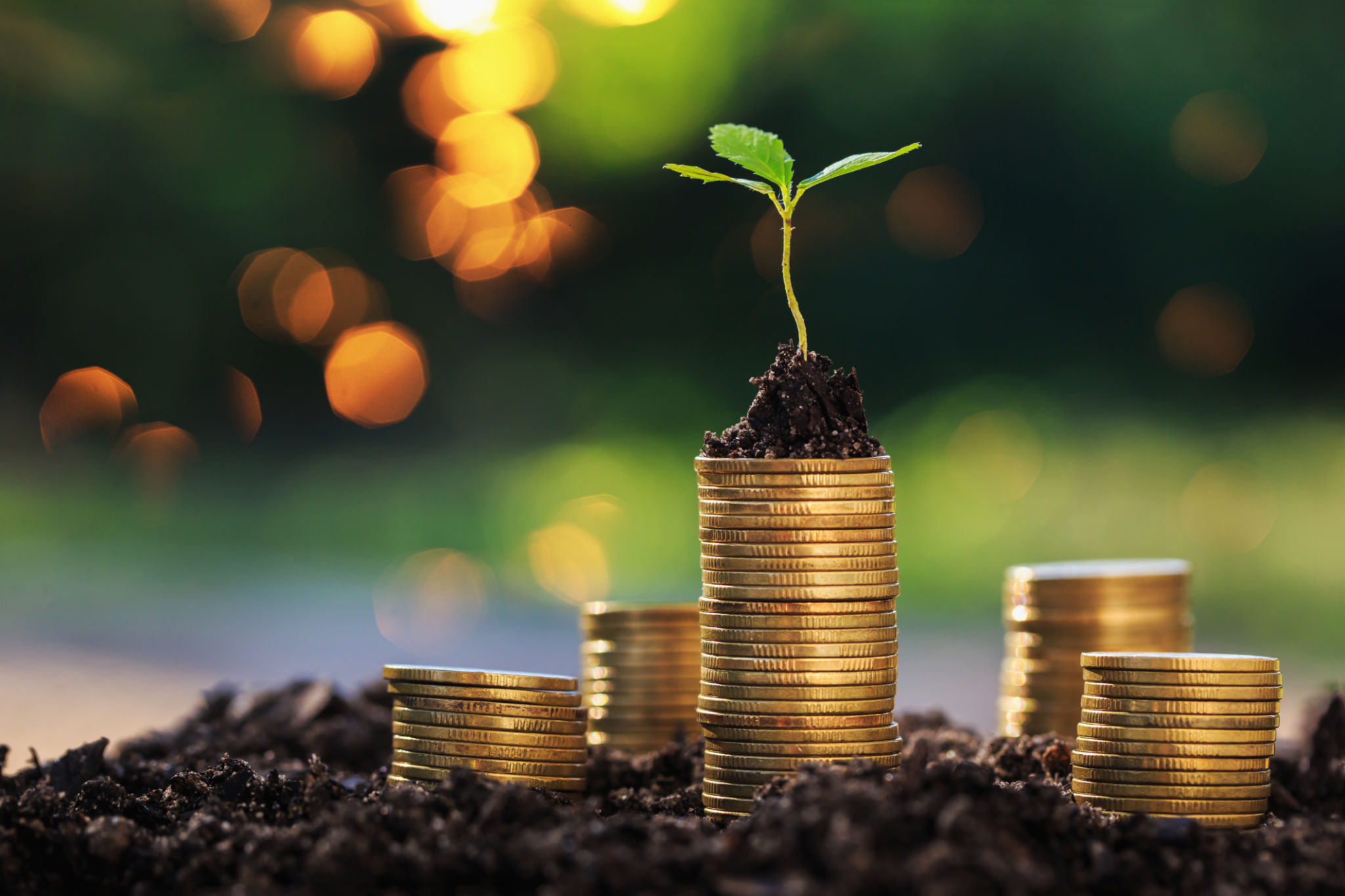 sustainability services