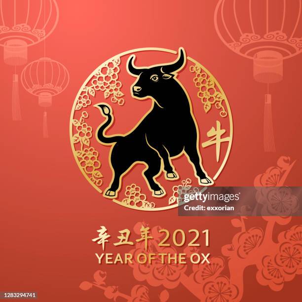 ilustraciones, imágenes clip art, dibujos animados e iconos de stock de año del sello de buey - year of the ox