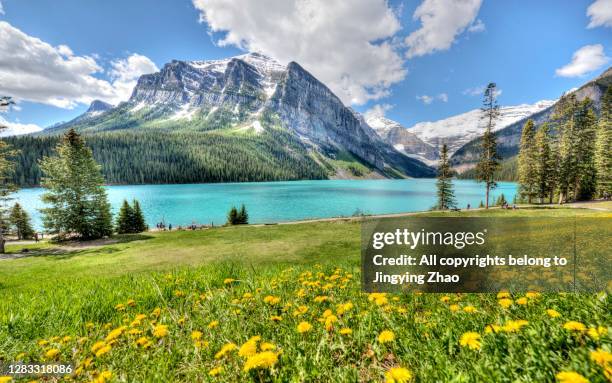 lake and snow mountain landscape in sunny day of banff national park, canada - montañas rocosas canadienses fotografías e imágenes de stock