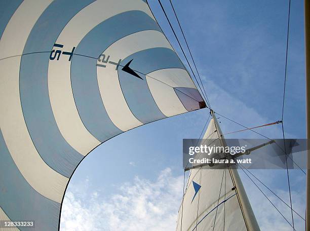 blue and white spinnaker - voile bateau photos et images de collection