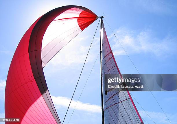 red spinnaker - vela parte de navio - fotografias e filmes do acervo