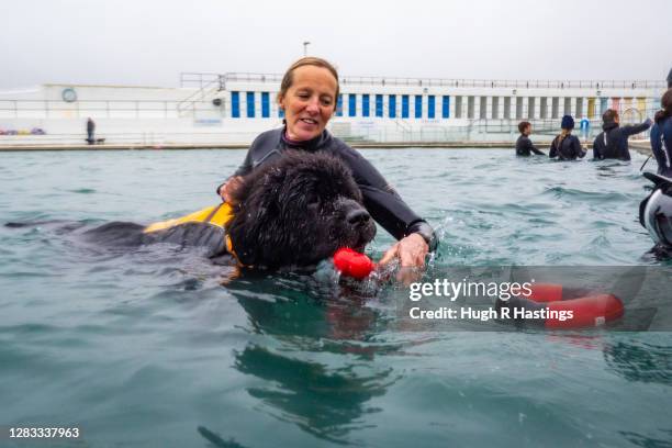 Dogs and their owners enjoy a pre-Lockdown swim at Jubilee Lido on November 1st, 2020 in Penzance, England. On the last day of its operating season,...