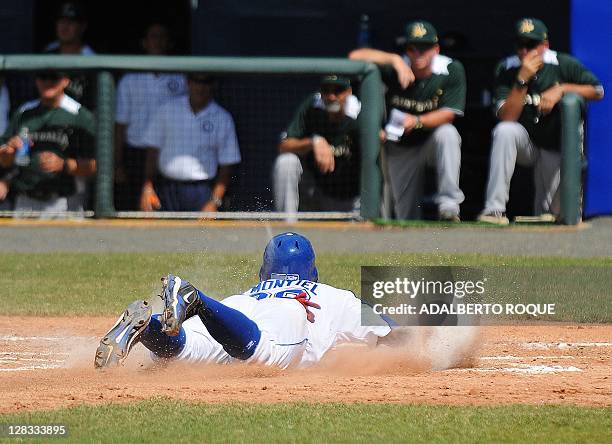 11 Edgar Montiel Stock Photos, HighRes Pictures, and Images Getty Images