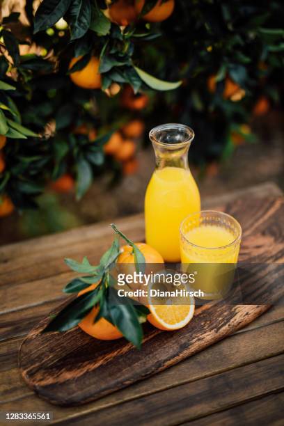 freshly harvested oranges with leaves and freshly squeezed orange juice of untreated bio oranges from the own garden with - orange juice stock pictures, royalty-free photos & images