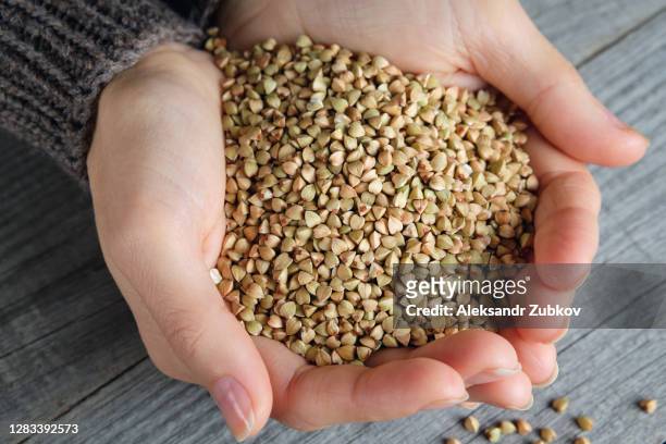 green buckwheat is poured into the girl's palm, against the background of a wooden table. the woman holds in the hands of a non-roasted buckwheat for sprouting. - demonstration against non vegetarian diet stock pictures, royalty-free photos & images