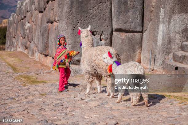 peruanischer kleiner junge mit lamas in der nähe von cuzco - aymara indian stock-fotos und bilder