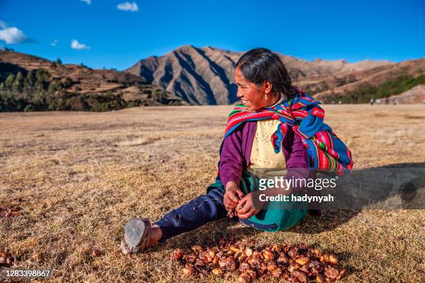 peruanische frau bereitet chuno - gefrorene kartoffel, in der nähe von cuzco,peru - peruanische kultur stock-fotos und bilder