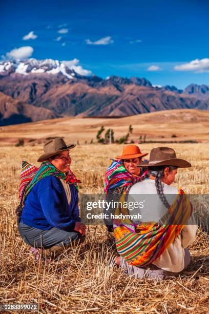 donne peruviane nel campo di attraversamento dell'abbigliamento nazionale, la valle sacra - perù foto e immagini stock