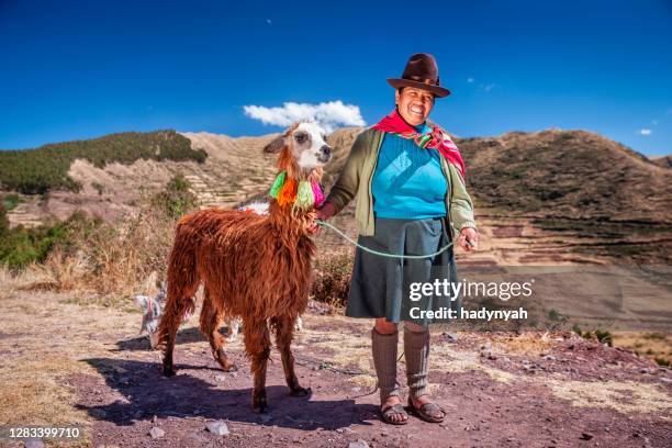 peruvian woman wearing national clothing posing with llama near cuzco - pisac imagens e fotografias de stock