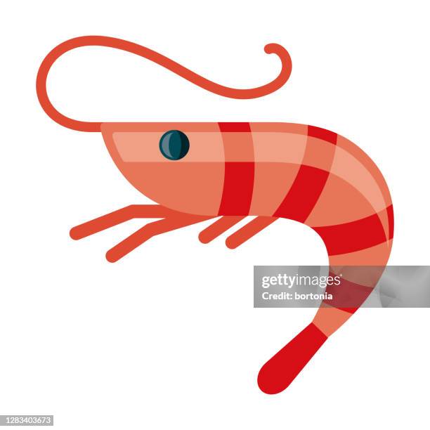 illustrazioni stock, clip art, cartoni animati e icone di tendenza di icona frutti di mare su sfondo trasparente - shrimp animal