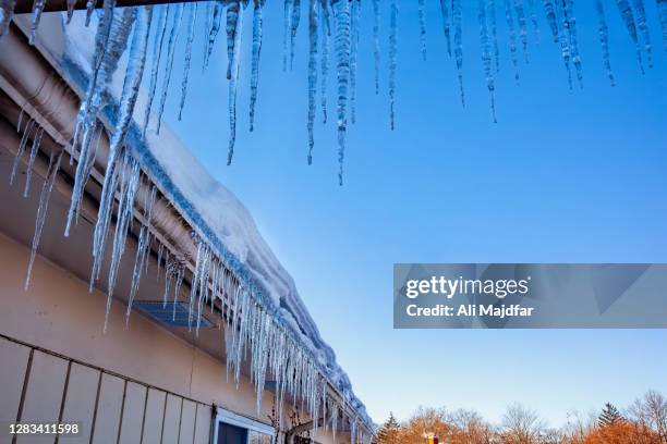 icicles - icicle macro stock pictures, royalty-free photos & images