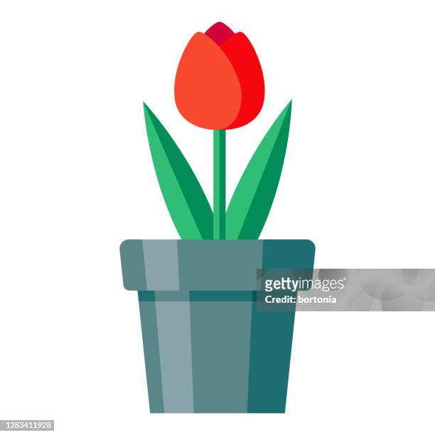 tulip icon on transparent background - flower pot stock illustrations