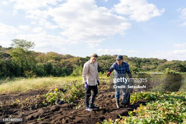 Farmhelper Picture Farmer Help Photos and Premium High Res Pictures - Getty Images