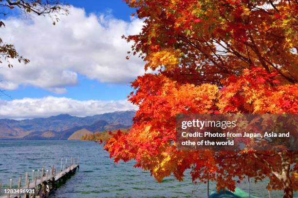 autumn leaf color of lake chuzenji and mt. nantai, nikko national park - nikko bildbanksfoton och bilder