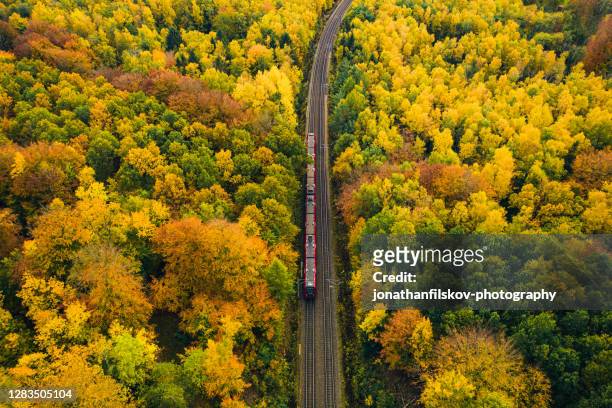 pendelen met de trein - aerial forest stockfoto's en -beelden