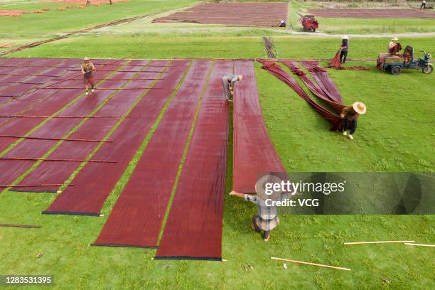 Aerial view of workers spreading out Guangdong gambiered silk at a factory on November 1, 2020 in Wuzhou, Guangxi Zhuang Autonomous Region of China....