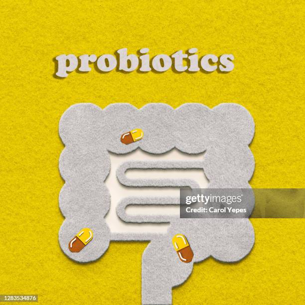 felt intestines with pills - probiotic stock pictures, royalty-free photos & images