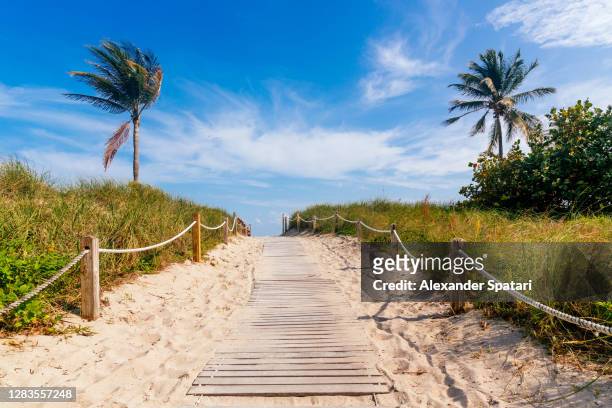 wooden path to the beach, miami, usa - beach tropical deserted blue sky stock-fotos und bilder