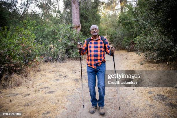 hogere zwarte mensen die in aard wandelen - hiking pole stockfoto's en -beelden