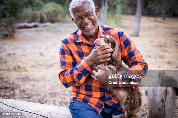 senior black man with long haired dachshund - long haired dachshund fotografías e imágenes de stock
