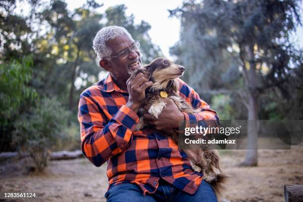 senior black man with long haired dachshund - long haired dachshund fotografías e imágenes de stock