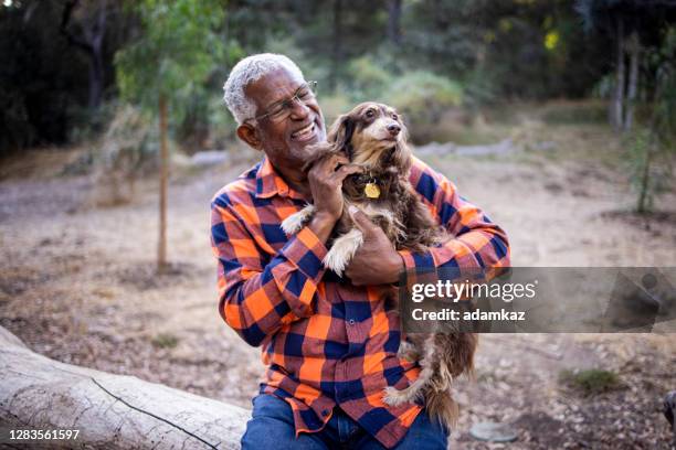 senior black man with long haired dachshund - wisdom stock pictures, royalty-free photos & images
