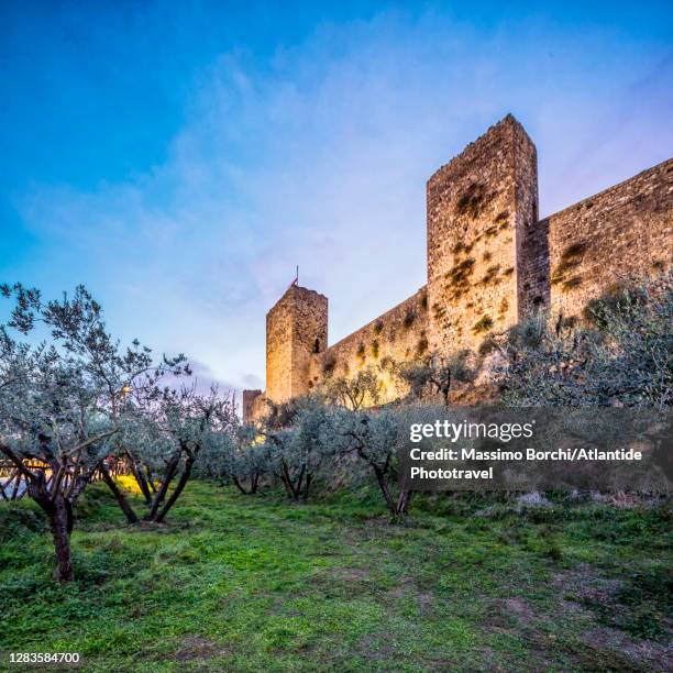 some olive trees near the walls - monteriggioni stock pictures, royalty-free photos & images