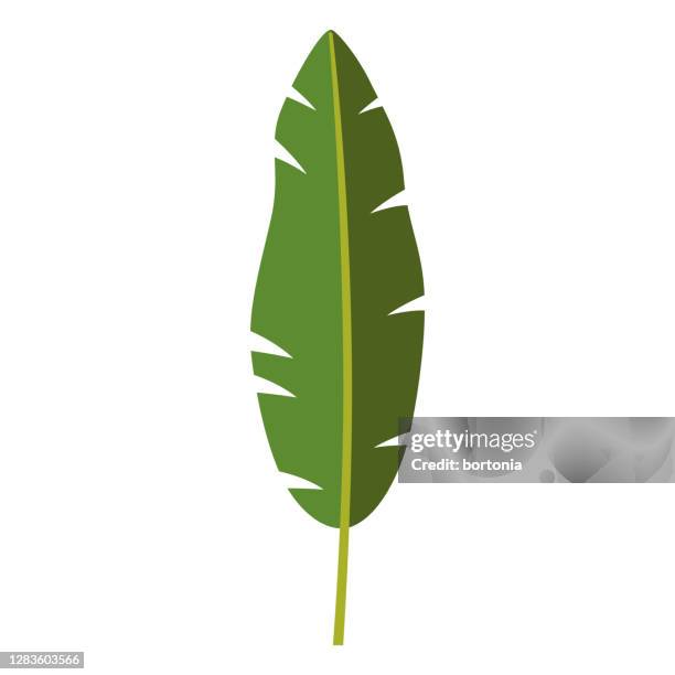 tropical leaf icon on transparent background - banana leaves stock illustrations