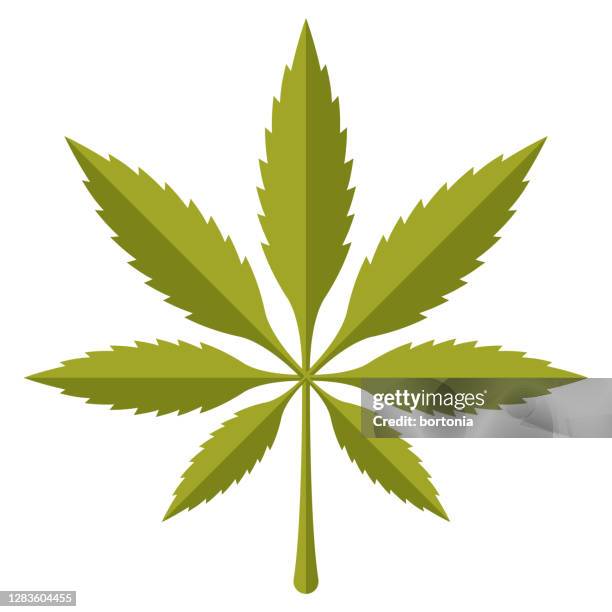 marijuana icon on transparent background - marijuana leaf icon stock illustrations