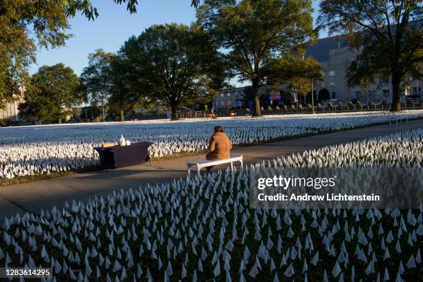 On the eve of the 2020 Presidential election, the last of the day's light falls on flags planted to remember some of the over 220,000 thousand...