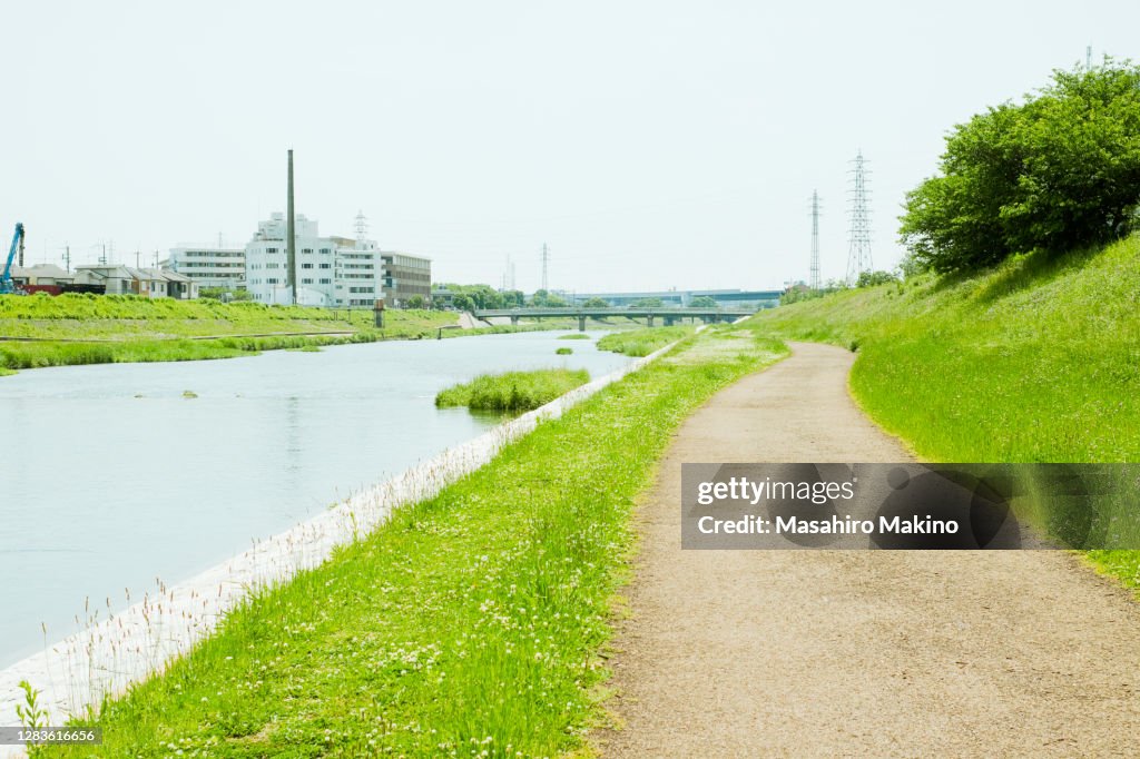 Spring View Of Kamo River Side, Kyoto City