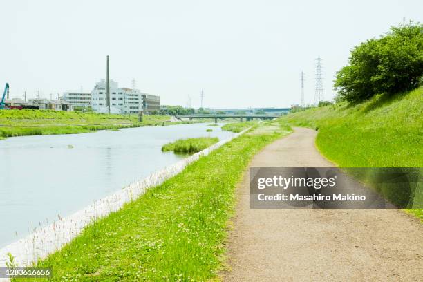 spring view of kamo river side, kyoto city - margem do rio imagens e fotografias de stock