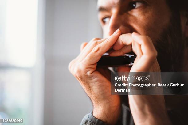a man playing harmonica - harmonica stock pictures, royalty-free photos & images