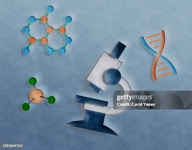 microscope, petri dish and laboratory items made of paper - rna stock pictures, royalty-free photos & images