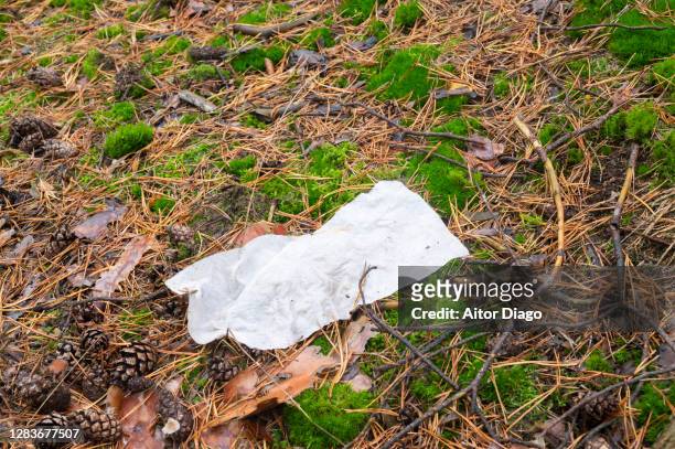 used and abandoned papper tissue in the forest. germany - handkerchief 個照片及圖片檔