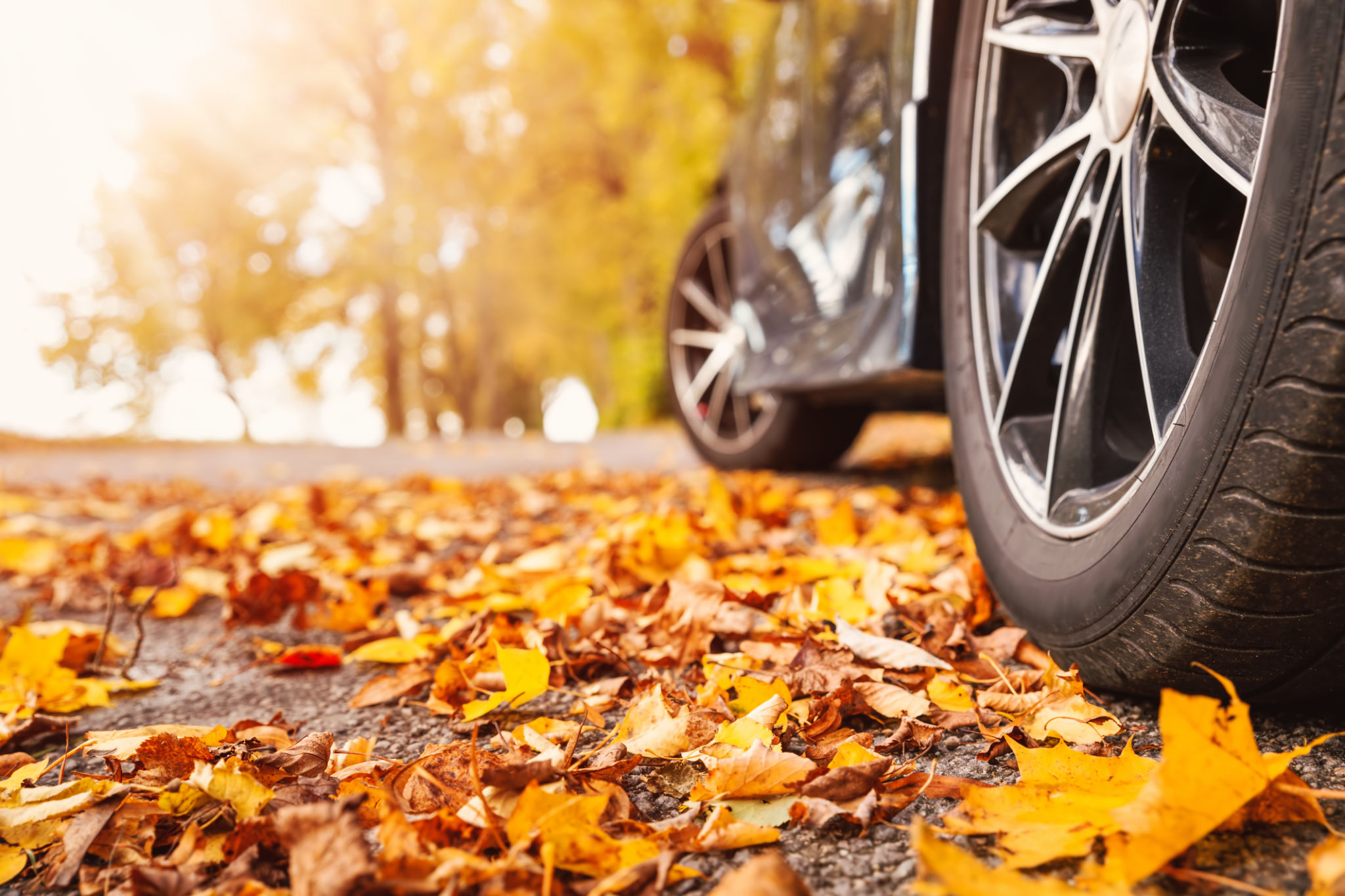 autumn car leaves