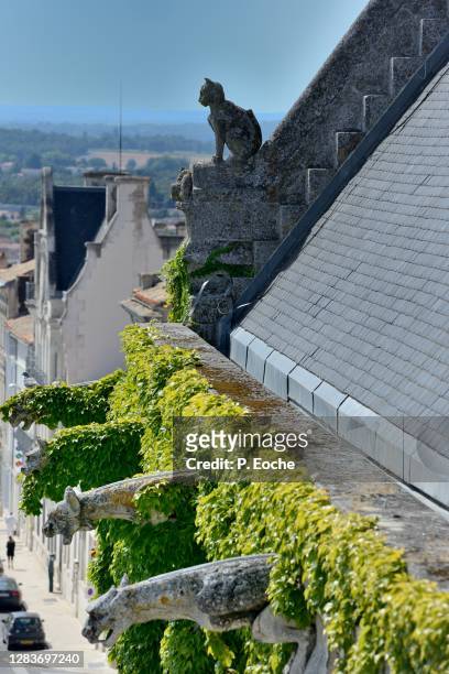 angoulême, the gargoyles in the city hall, one of which represents a cat sitting - charente fotografías e imágenes de stock