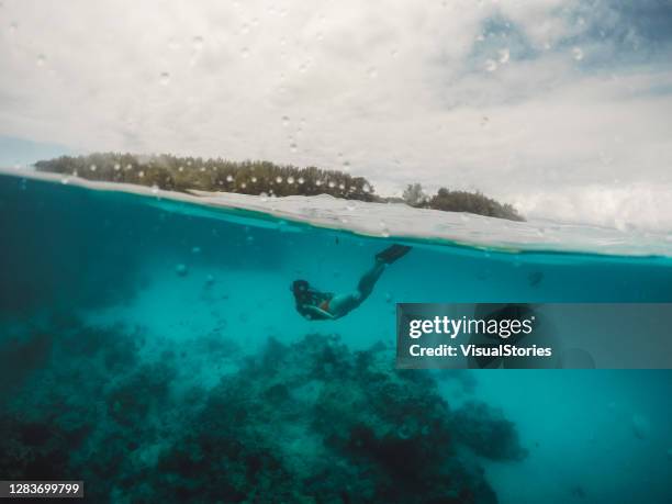 young woman snorkelling and exploring underwater world near the remote island on zanzibar - half full stock pictures, royalty-free photos & images