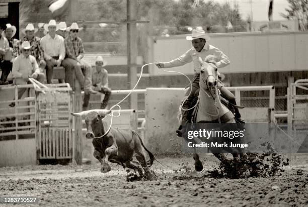 The Cheyenne Frontier Days Rodeo Photos and Premium High Res Pictures ...