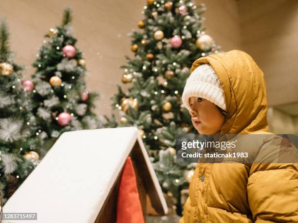 ein kleiner junge, der sich unter den weihnachtsdekorationen ansieht - festival of remembrance 2019 stock-fotos und bilder