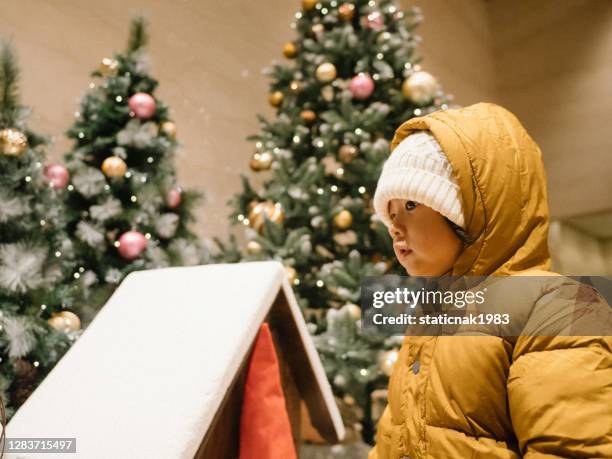 a little boy looking at among christmas decorations - festival of remembrance 2019 stock pictures, royalty-free photos & images